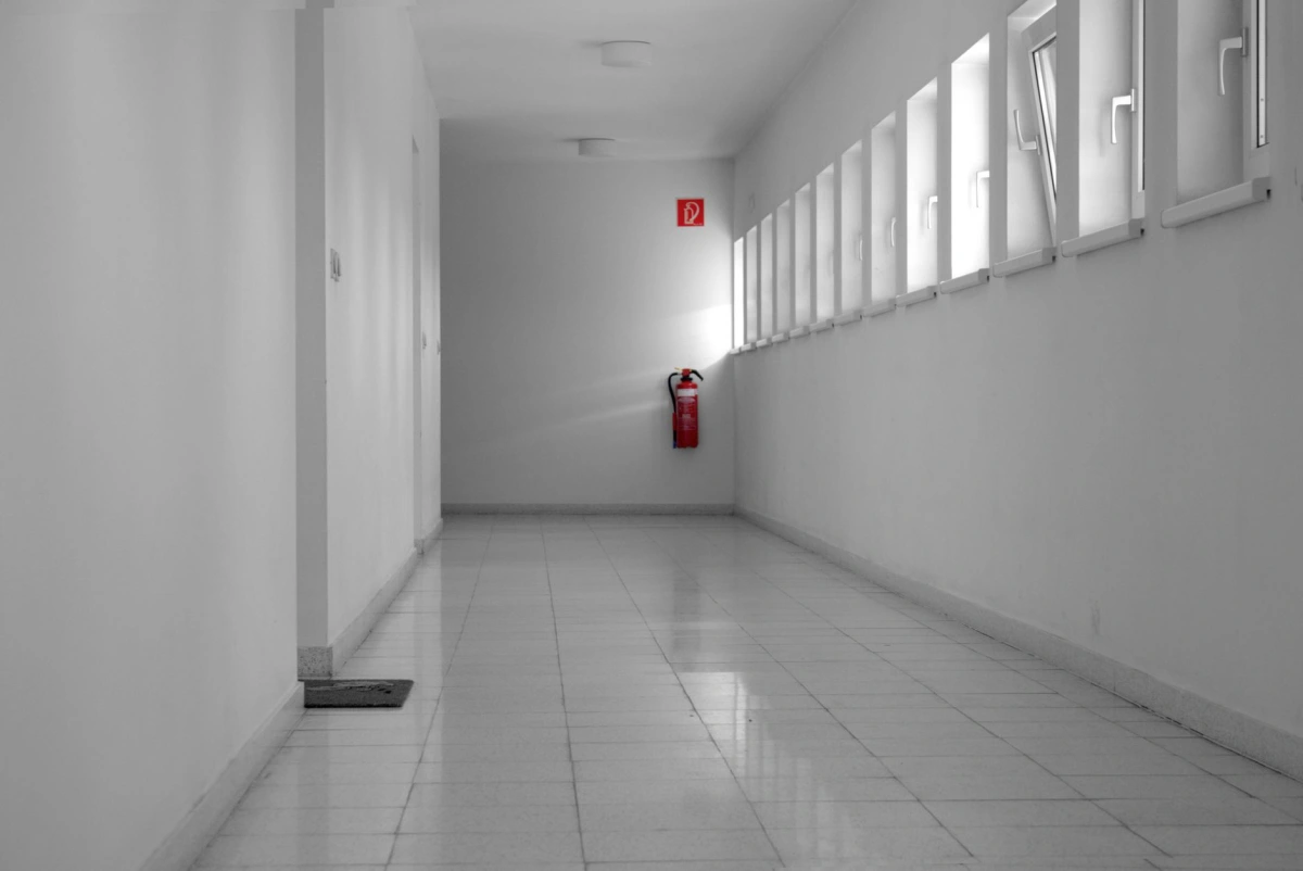 Espace de bureaux clair après une remise en peinture