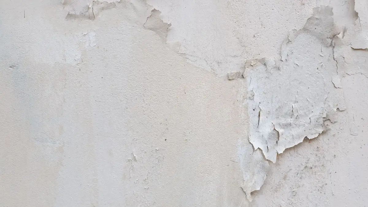 Bas de mur intérieur marqué par des traces de salpêtre